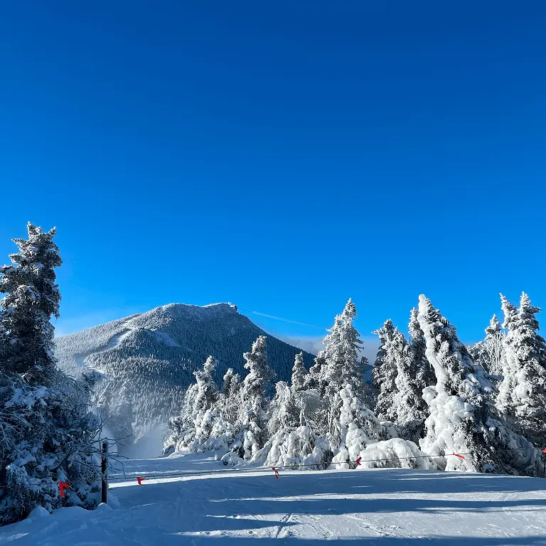 Camping under the stars